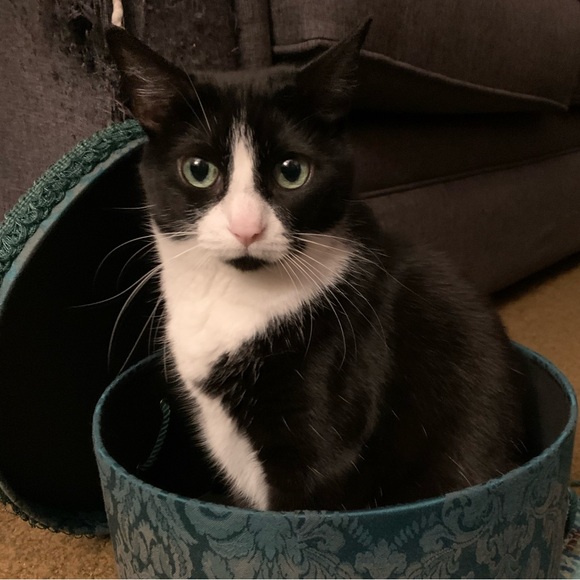 Meet your Posher. - Picture 1 of 7